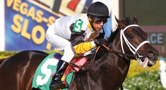 Rydilluc with jockey Edgar Prado, wins 3 year old allowance race going 1 mile on the turf at Gulfstream Park. Hallandale Beach Florida. 01-05-2013