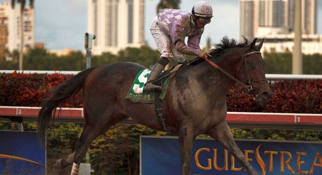 Ron the Greek with Jose Lezcano up wins the Florida Sunshine Millions Classic at Gulfstream Park. Hallandale Beach Florida. 01-19-2013