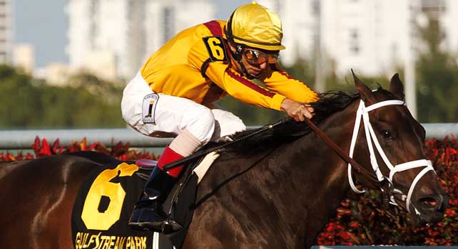 Kauai Katie with John Velazquez up easily win the Forward Gal (G2) at Gulfstream Park. Hallandale Beach Florida. 01-26-2013