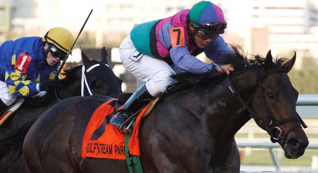 Itsmyluckyday with Elvis Trujillo up sets a new track record in winning the Holy Bull (G3) at Gulfstream Park. Hallandale Beach Florida. 01-26-2013