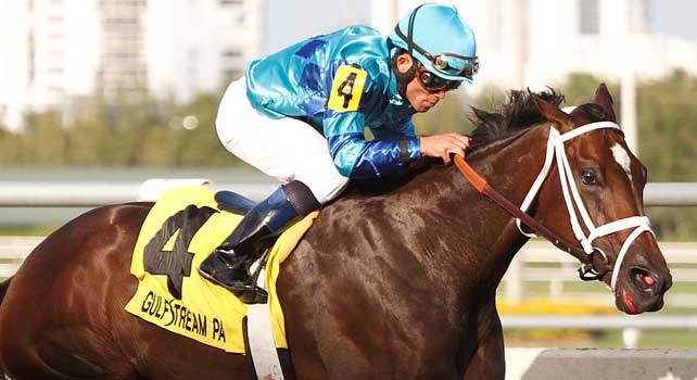 Live Lively with jockey Joel Rosario all alone at the wire in the Davona Dale (G2) at Gulfstream Park. Hallandale Beach Florida. 02-23-2013