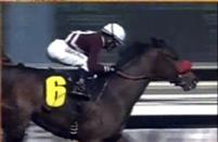Tiz Flirtatious wins an Allowance race on October 29 at Santa Anita Park