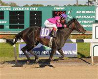 Diva Delite takes the 2010 Suncoast