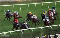 Overdose (red dress) wins in the Group III Premio Carlo e Francesco Aloisi, at Capannelle (Rome, Italy) with Frankie Dettori (13.11.2011.)
