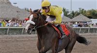 Union Rags horse