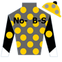 horsisars Silks