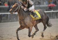 09 October 03: Kodiak Kowboy (no. 4), ridden by Shaun Bridgmohan and trained by Steve Asmussen, wins the 70th running of the grade 1 Vosburgh Stakes for three year olds and upward at Belmont Park in Elmont, New York.