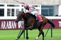 Cirrus Des Aigles