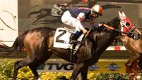 Hot n' Dusty at Del Mar