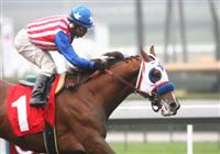  30 December 2009: Take Control (A.P. Indy - Azeri) breaks his maiden under Martin Garcia at Santa Anita Park in Arcadia, CA..
