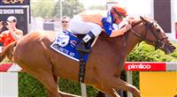 Zagora Wins 2012 Gallorette