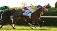 21 October. Daisy Devine and Calvin Borel win the $150,000 Pin Oak Valley View GRIII at Keeneland racecourse for owner James Miller and trainer Andrew McKeever.