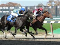 Buffum breaks maiden at Belmont Park (10-30-10). 