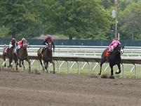 Rush Now winning the 2011 Spend A Buck Stakes