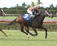 Salsa Bullet wire to wire John Franks Memorial Juvenile Fillies Turf $100,000