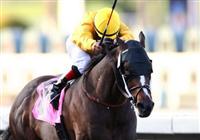  23 January 2010: Kinsale King and Martin Garcia win the Palos Verdes Handicap(GII) at Santa Anita Park in Arcadia, CA..
