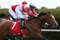Data Link and Alex Solis win the Grade 1 Maker's 46 Mile at Keeneland Racecourse. April 13, 2012. 