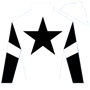 BlueGrassPhotog Silks