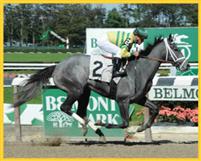 Disposablepleasure break her maiden by 11 lenghts