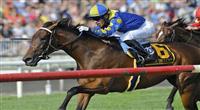 Top Story: Eclair de Lune (no. 6), ridden by Junior Alvarado and trained by Ronalad McAnally, wins the grade 1 Beverly D. Stakes for fillies and mares three year olds and upward at Arlington Park in Arlington Heights, Illinois. 