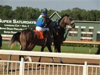 September 15, 2009: Electric Alphabet in post parade for Super Derby Prelude at Louisiana Downs. 