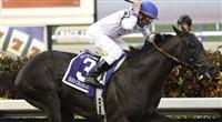 Take Charge Indy