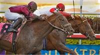 Longshot Ice Box nips Pleasant Prince by a nose on the wire of the 2010 Florida Derby