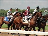 September 15, 2009: Prince Eddington in post parade for Sunny's Halo Stakes at Louisiana Downs. 