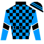 Thoroughbred44 Silks