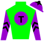 gelded1 Silks