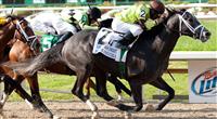 Mission Impazible wins the 2010 Louisiana Derby