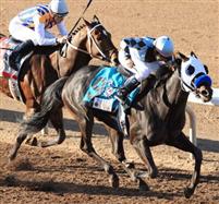 Twice The Appeal captures the 2011 Sunland Derby
