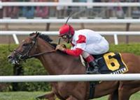 Big Blue Kitten winning the 2011 National Museum of Racing Hall of Fame Stakes at Saratoga.