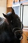 MineShaftECL