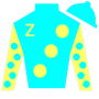 PaynterNation Silks
