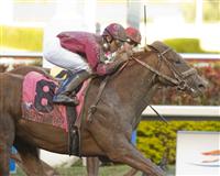 Ice Box captures the 2010 Florida Derby
