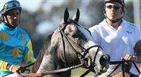 Zensational in the post parade