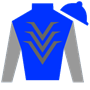 bid2830 Silks