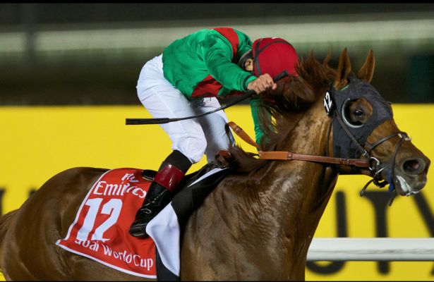 Kingdom of Ascot