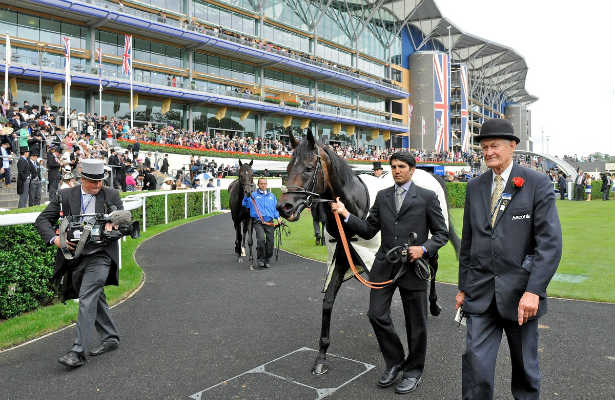 Ascot_Royal_Paddock_Scene_615x400_orig.jpg