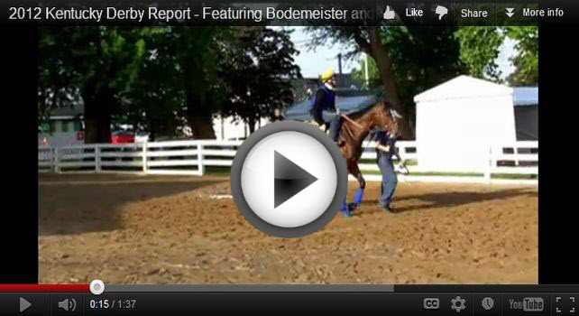 Bodemeister backstage at the Derby Video