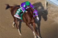 California Chrome