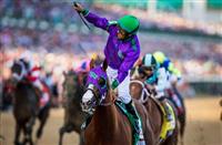 /horse/California Chrome