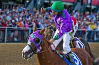 /horse/California Chrome