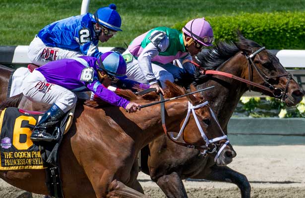 Close_Hatches_Ogden_Phipps_2014_615x400_orig.jpg