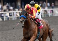 Coil, with Martin Garcia aboard, wins the 2011 Affirmed Handicap at Hollywood.