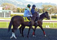 Race 7 at Golden Gate 2-17-13