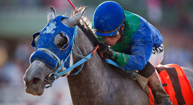 Creative Cause takes the 2012 San Felipe