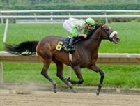 Grace Hall wins the Blue Han Stakes