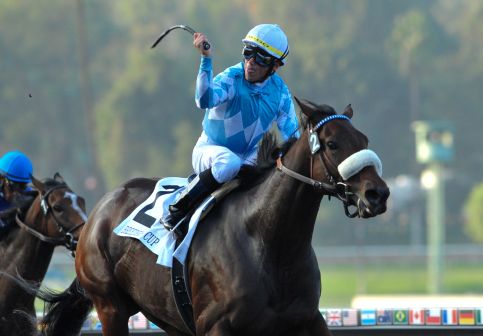 6 November 2009: Garrett Gomez and Life Is Sweet before take the G1 Breeder's Cup Ladies' Classic at Santa Anita in Pasadena California.
